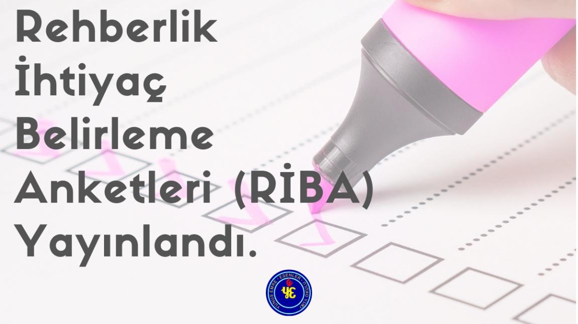 rehberlik ihtiyac belirleme anketleri riba